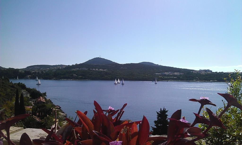 Apartments Anamaria Dubrovnik Værelse billede