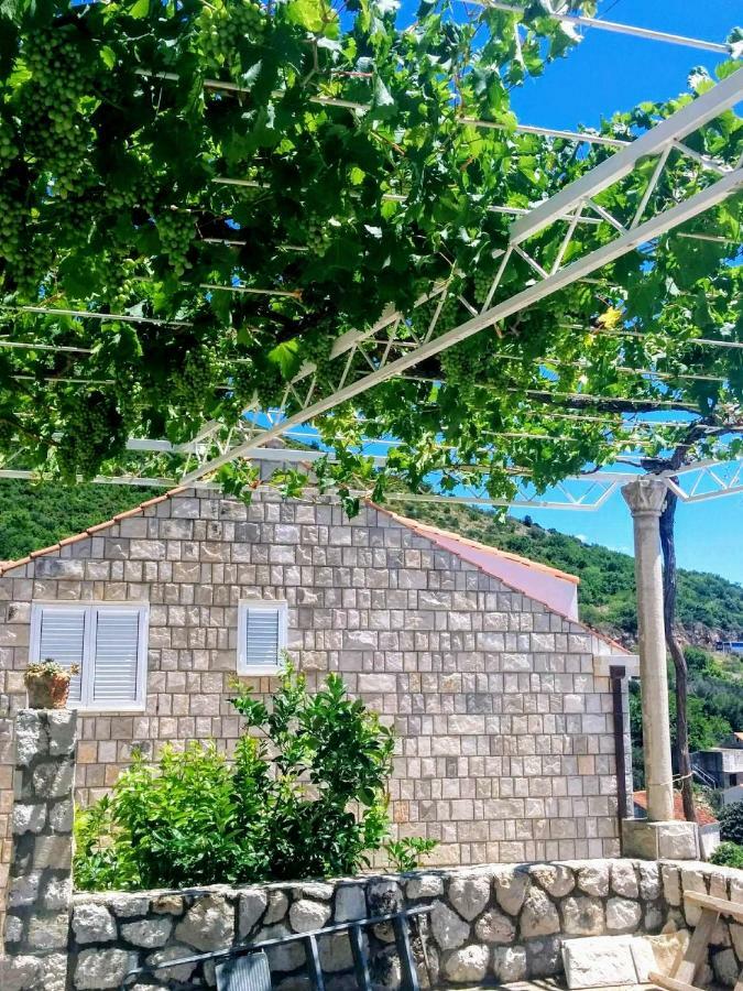 Apartments Anamaria Dubrovnik Eksteriør billede