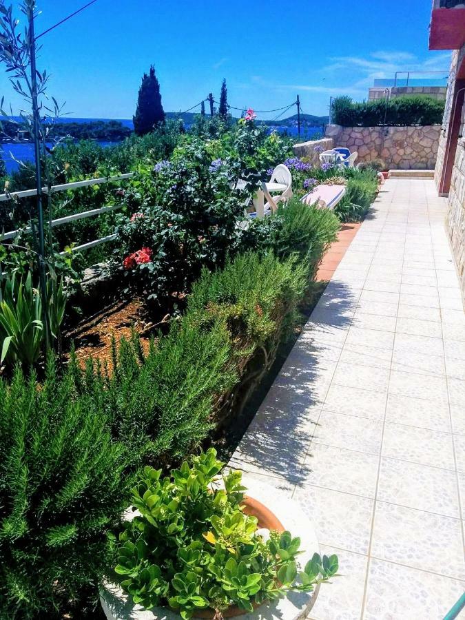 Apartments Anamaria Dubrovnik Eksteriør billede